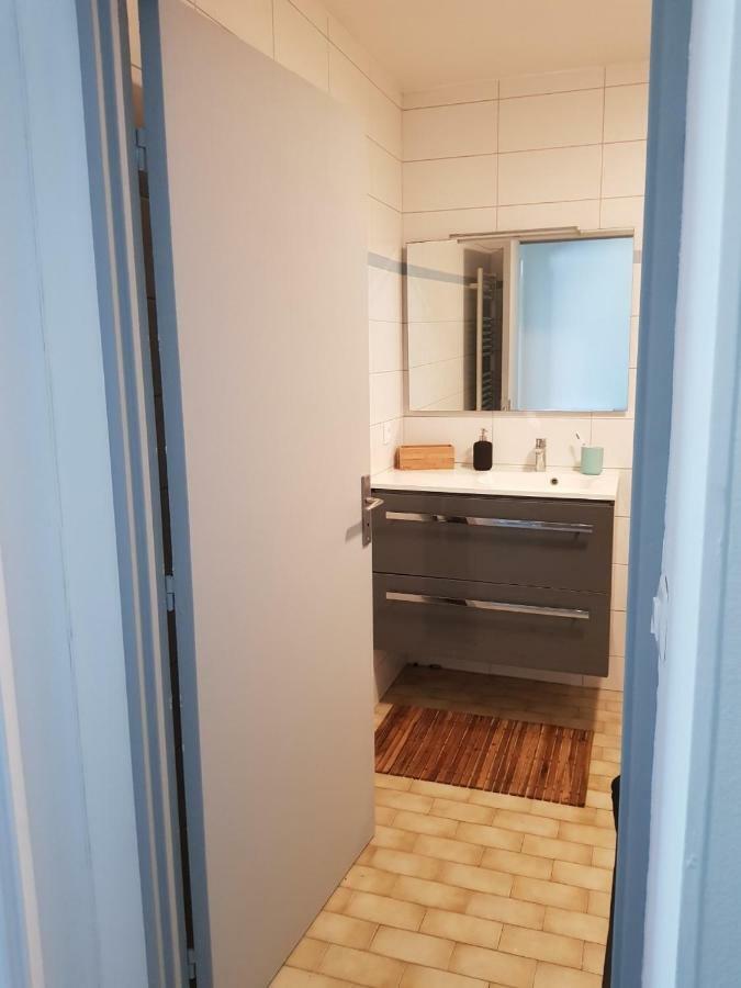 Appartement Centre Ville Proche Paris Disney Vincennes Transports Joinville-le-Pont Zewnętrze zdjęcie